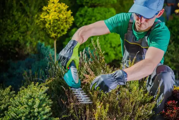 landscaping services Auxvasse